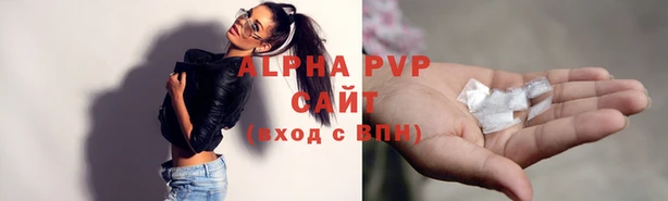 первитин Богданович