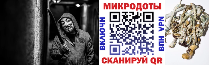 продажа наркотиков Мценск Галлюциногенные грибы мицелий
